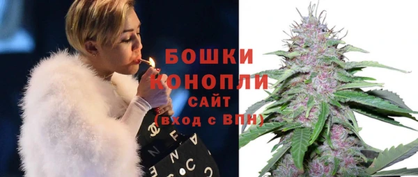 кокс Ельня