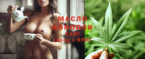 гидра Елабуга