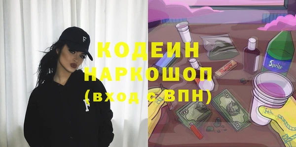 гидра Елабуга