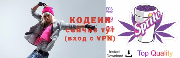 гидра Елабуга