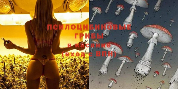 гидра Елабуга