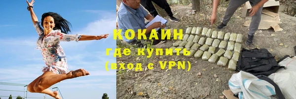 кокс Ельня