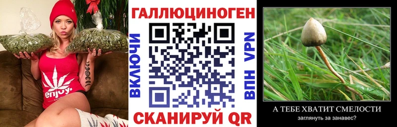 Псилоцибиновые грибы ЛСД  Купить  Рассказово 
